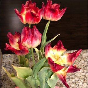 Meet your Posher, Jessy